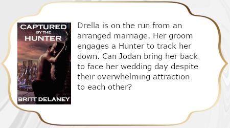 Novella-Hunter